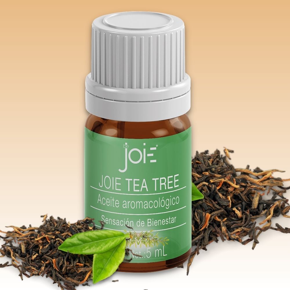 Tea Tree Aceite Esencial Antibacteriano, Antiviral y Antifúngico