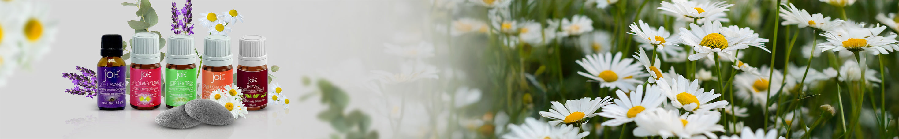 Aromacología